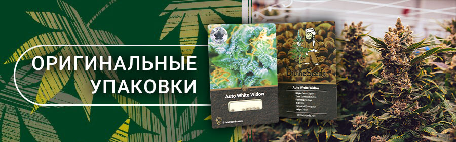 Оригинальные семена марихуаны как и где можно купить марихуаны